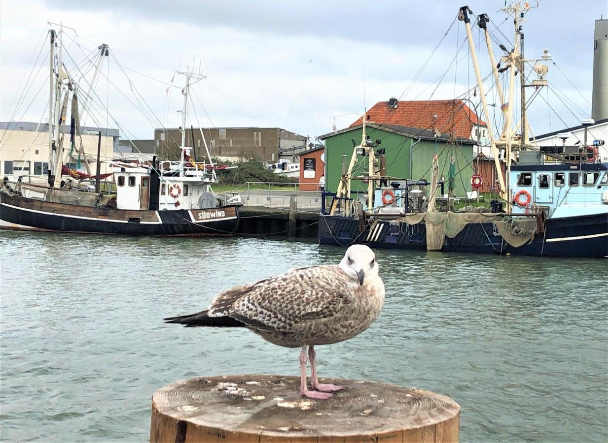 Kutterbude Buesum - Bude I Exteriör bild